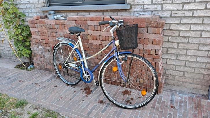 Goede damesfiets Bianchi, Fietsen en Brommers, Fietsen | Dames | Damesfietsen, Gebruikt, Versnellingen, Ophalen