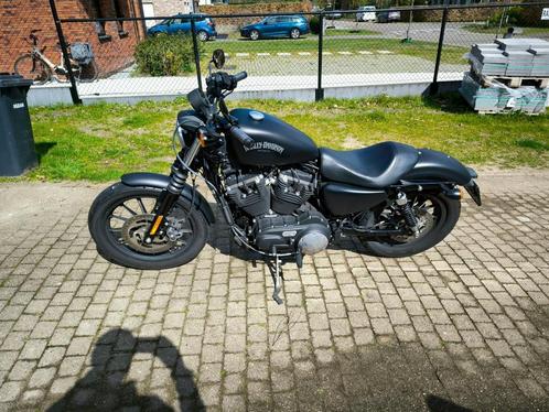 Harley Davidson iron 883 mat zwart stage 1, Motoren, Motoren | Harley-Davidson, Particulier, Chopper, meer dan 35 kW, 2 cilinders
