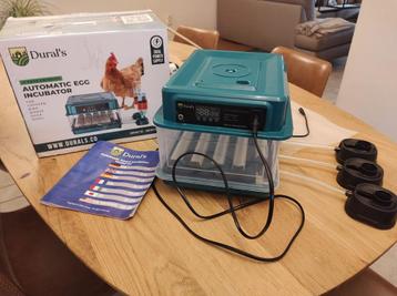Broedmachine Durall 1x gebruikt, Poule ou poulet