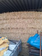 Grote pakken gerste stro 40€, Enlèvement