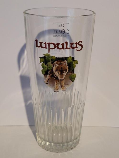 lupulus brouwerij bierglas, Verzamelen, Biermerken, Glas of Glazen, Overige merken, Ophalen of Verzenden