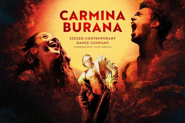 1 TICKET POUR CARMINA BURANA AU CIRQUE ROYAL, Boeken, Kunst en Cultuur | Dans en Theater, Overige onderwerpen, Ophalen of Verzenden