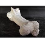 Dinosaur Bone – Dinosaurus beeld Lengte 118 cm, Verzamelen, Ophalen, Nieuw