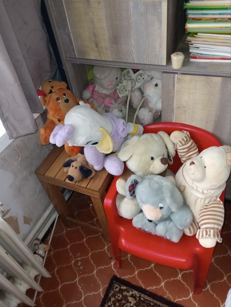 Beren per stuk, Enlèvement, Comme neuf