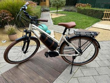 E-Bike Riese & Muller Cruiser 2