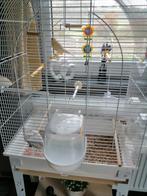 Nieuwe kooi gekocht winkel zonnebloem + kanarie, Dieren en Toebehoren, Ophalen, Nieuw, Metaal, Vogelkooi
