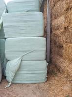 Voordrooghooi en tarwe stro te koop, Zakelijke goederen, Landbouw | Veevoer, Ophalen