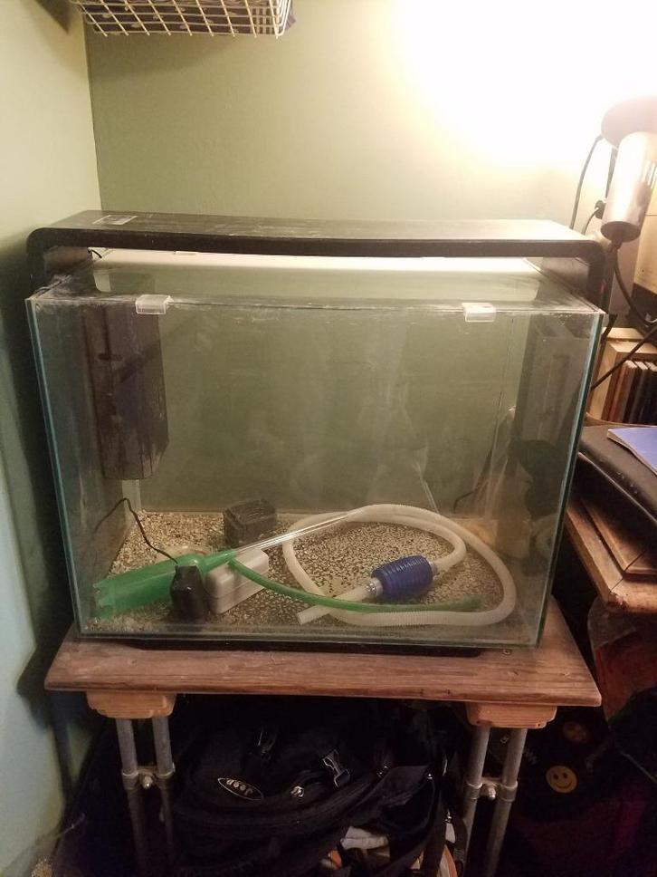 Superfish Home 85 fish tank for cold or tropical fish, Dieren en Toebehoren, Vissen | Aquaria en Toebehoren, Zo goed als nieuw