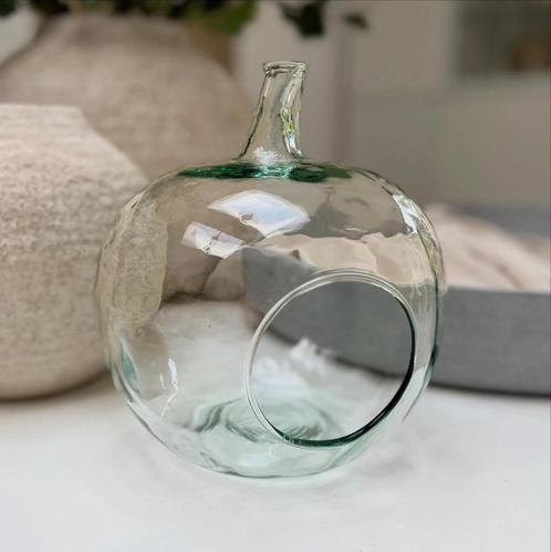 Mondgeblazen appel terrarium!, Antiek en Kunst, Antiek | Glaswerk en Kristal, Ophalen of Verzenden