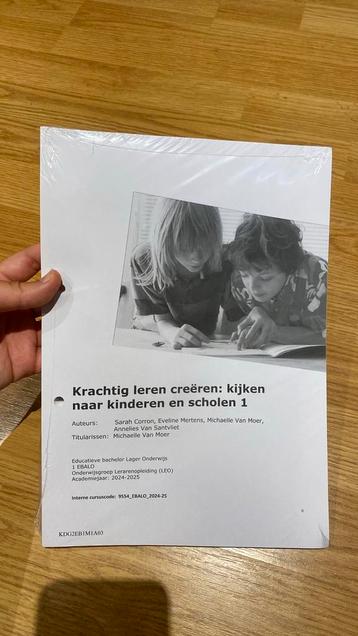 KdG krachtig leren creëren: kijken naar kinderen en scholen beschikbaar voor biedingen