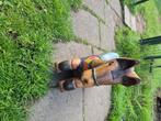 Decoratief houten schommelpaard, Ophalen, Zo goed als nieuw