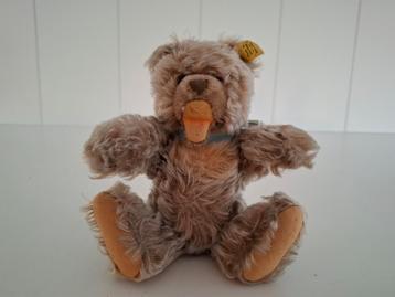 steiff beer 0300/22 vintage beschikbaar voor biedingen