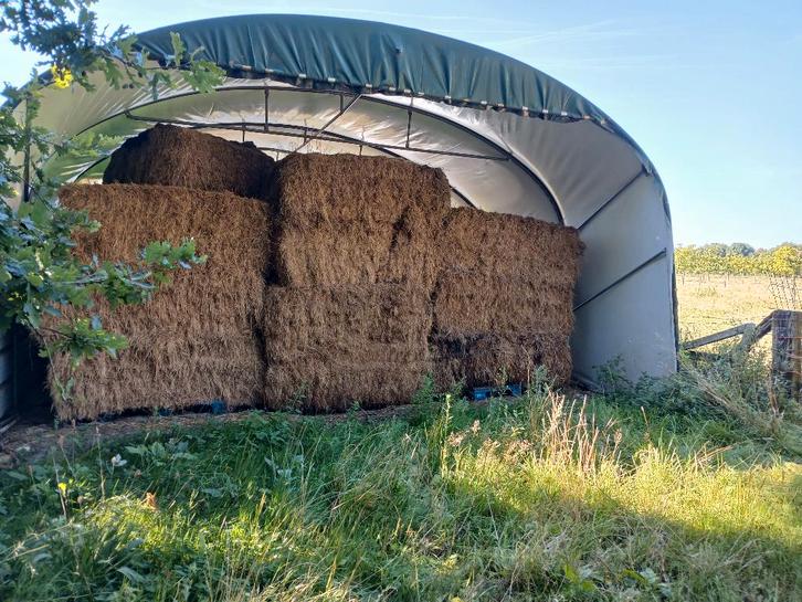 plastiek tunnel serre, Tuin en Terras, Kassen, Gebruikt, Kweekkas, Staal, Folie, Ophalen
