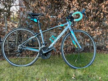 Specialized dolce, Fietsen en Brommers, Fietsen | Racefietsen, Aluminium, Minder dan 49 cm, Dames, Meer dan 20 versnellingen