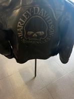 Harley vest skull man, Motoren, Kleding | Motorkleding, Jas | leer, Harley Davidson, Heren, Tweedehands