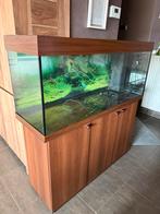 Aquarium met kast, Animaux & Accessoires, Poissons | Aquariums & Accessoires, Enlèvement, Utilisé