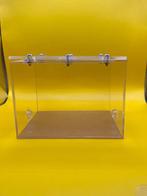 Buitenwereld mieren medium, Mieren