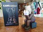 Kaws sitting companion bruin 25cm met doos art toy bearbrick, Antiek en Kunst, Verzenden
