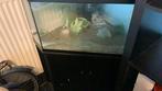 Diamantvormig aquarium, Dieren en Toebehoren, Ophalen, Gebruikt, Leeg aquarium