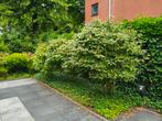 Gratis buxes, planten en overige bomen, Ophalen