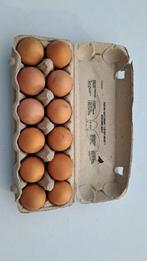 Verse Eieren 12 stuks, Dieren en Toebehoren, Ophalen