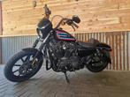 Harley davidson, Motoren, 2 cilinders, Chopper, 1202 cc, Particulier