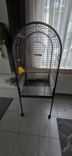 Grote vogelkooi, Dieren en Toebehoren, Ophalen, Gebruikt, Vogelkooi
