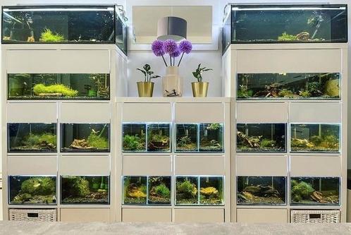 Kallax aquariums  nieuw in de doos, Dieren en Toebehoren, Vissen | Aquaria en Toebehoren, Zo goed als nieuw, Ophalen of Verzenden