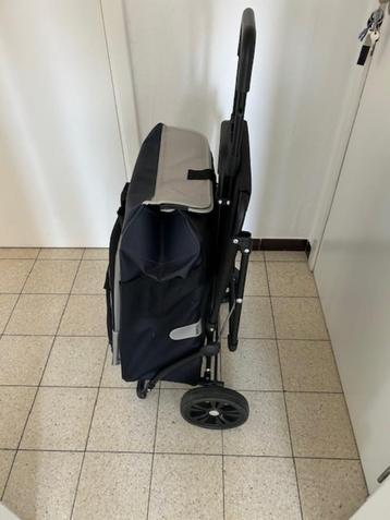 Caddy-shopper beschikbaar voor biedingen