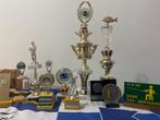 kopjes 🏆, Vis