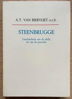 Steenbrugge, Boeken, Geschiedenis | Stad en Regio, Ophalen of Verzenden