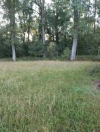 Weide, Dieren en Toebehoren