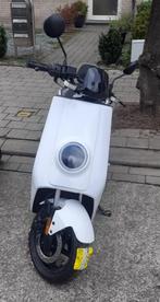 Niu witte NQi N1s sport 29Ah, Ophalen, Gebruikt, Elektrisch, Klasse B (45 km/u)