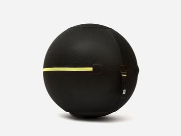 Welness Ball - Technogym beschikbaar voor biedingen
