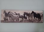 Canvas Paarden, Huis en Inrichting, Woonaccessoires | Schilderijen, Tekeningen en Foto's, Ophalen, Nieuw
