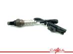 LAMBDASONDE BMW R nineT 2016-2021 (K23) (01-2016/12-2021), Motoren, Gebruikt