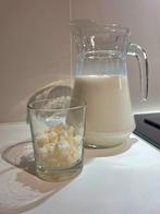 Kefir granen, Huis en Inrichting, Woonaccessoires | Stolpen, Ophalen