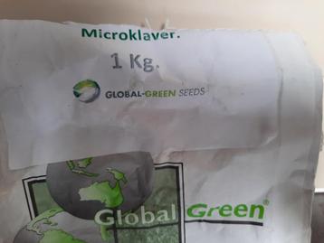 Microklaver kwalitatieve zaden voor gazon  beschikbaar voor biedingen