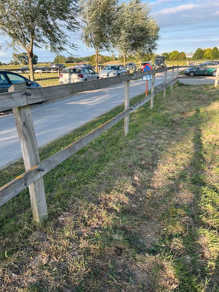 Weide afsluiting Cambridge, Dieren en Toebehoren, Stalling en Weidegang, Weidegang