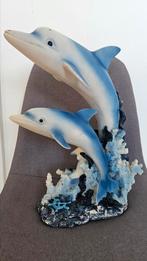 Dolphin, Ophalen of Verzenden, Zo goed als nieuw