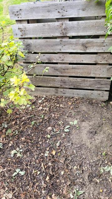 houten paletten beschikbaar voor biedingen