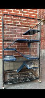 Chinchilla kooi, Dieren en Toebehoren, Ophalen, Kooi, Gebruikt, Konijn