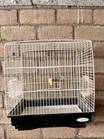 Petite cage à oiseaux pour canari, Enlèvement ou Envoi, Métal, Neuf, Cage à oiseaux