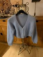 Korte blauwe gilet, Ophalen of Verzenden, Zo goed als nieuw