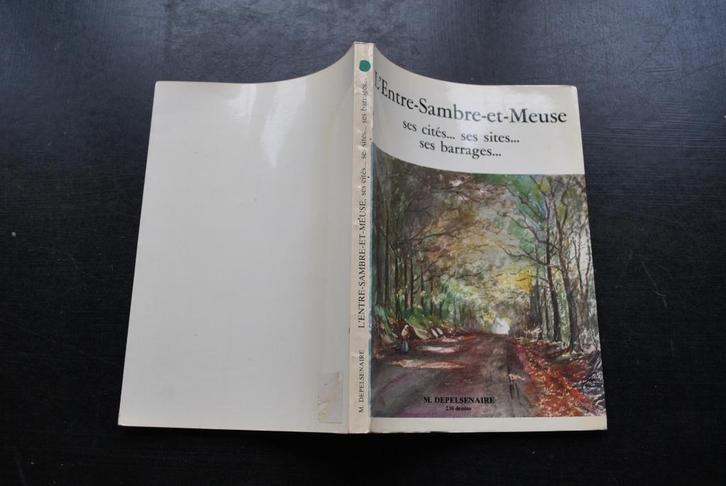 DEPELSENAIRE L'ENTRE SAMBRE ET MEUSE 230 dessins RARE, Boeken, Geschiedenis | Nationaal, Gelezen, 20e eeuw of later, Ophalen of Verzenden