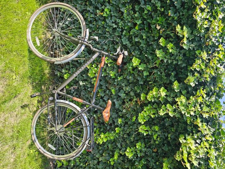 Herenfiets City Highlander, Fietsen en Brommers, Fietsen | Heren | Herenfietsen, Versnellingen, Ophalen