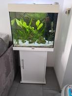 Juwel 120 avec meuble, Animaux & Accessoires, Poissons | Aquariums & Accessoires, Enlèvement, Utilisé