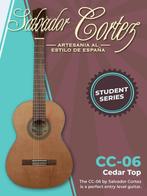 Muziek Center Roosendaal ook voor gitaren- blokfluiten enz., Muziek en Instrumenten, Ophalen, Nieuw, Klassieke of Spaanse gitaar