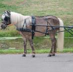Enkelspan maat shetland, Animaux & Accessoires, Chevaux & Poneys | Brides & Harnachement, Enlèvement ou Envoi, Neuf, Autres espèces
