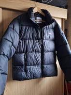 Winterjas Tommy Hilfiger – Tommy Jeans, Ophalen, Tommy hilfiger, Zwart, Maat 42/44 (L)